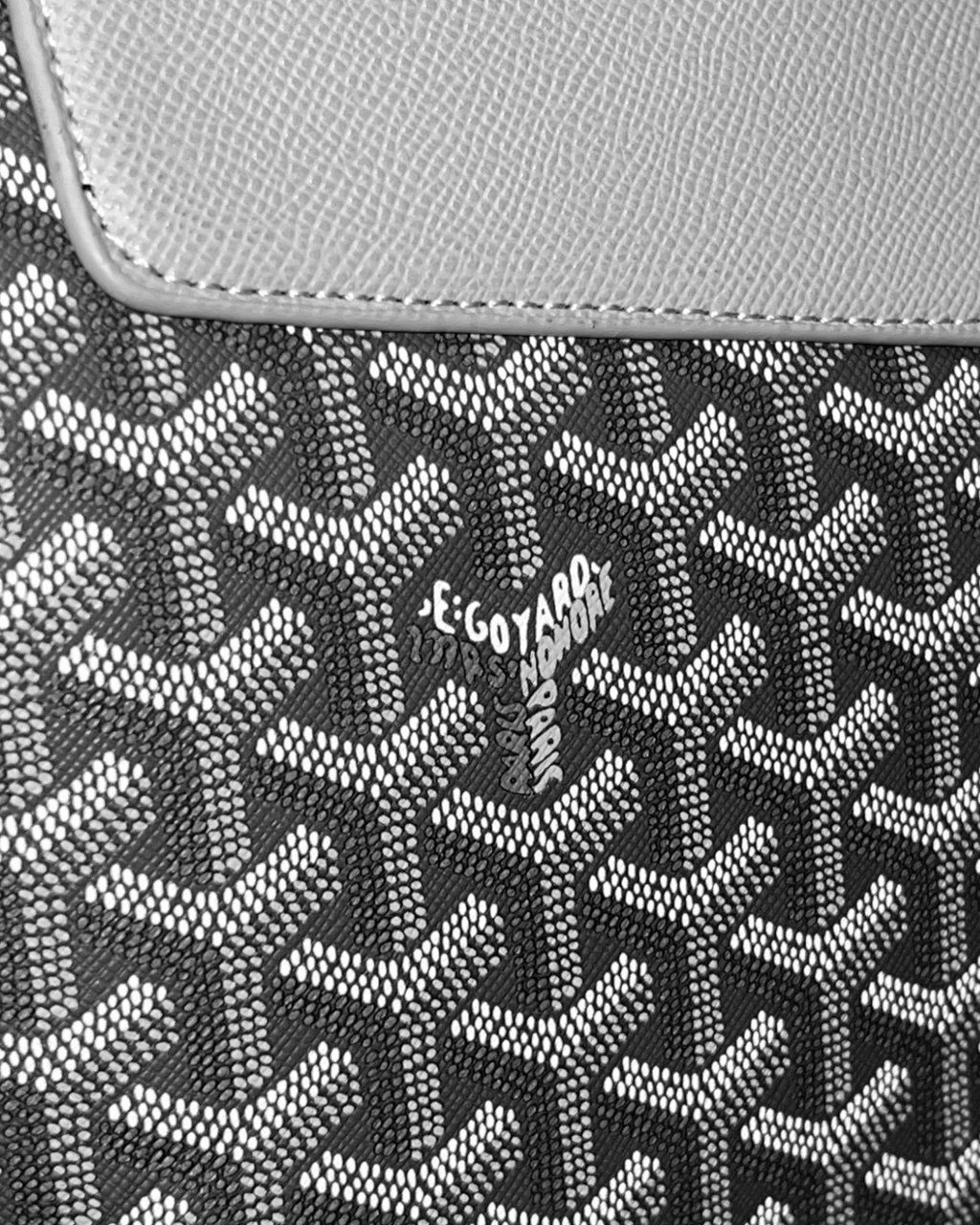 Goyard - Cisalpin Rucksack Backpack - Gray